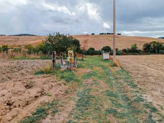 Terreno agricolo in vendita a tarquinia località farnesiana