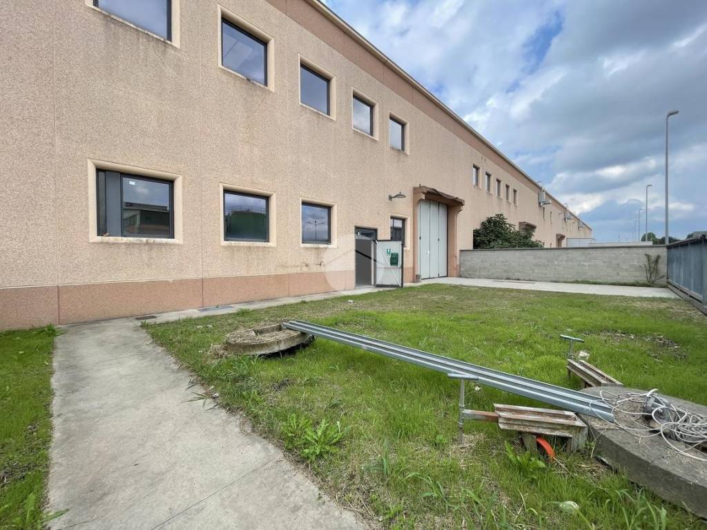 immagine annuncio 13 di 15