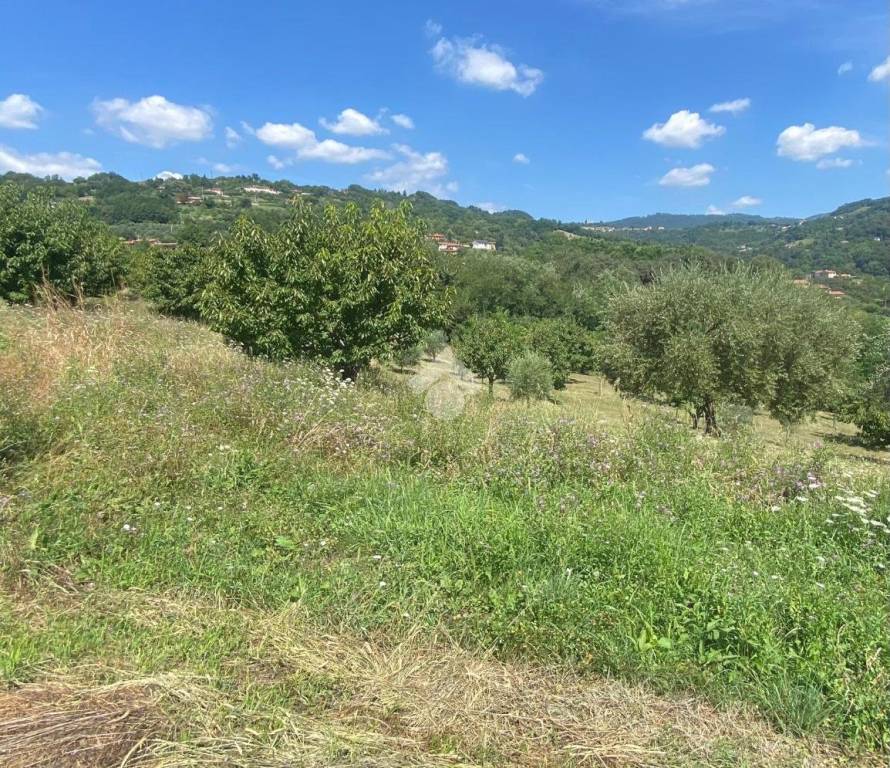 immagine annuncio 7 di 11