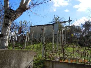 Terreno agricolo in vendita a pollena trocchia via cappelli