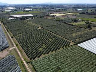 Terreno agricolo in vendita a cisterna di latina via la gialla, 17