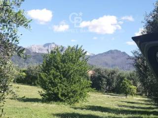 Terreno residenziale in vendita a pietrasanta via fontana