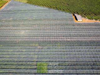 Terreno agricolo in vendita a latina strada regionale pontina