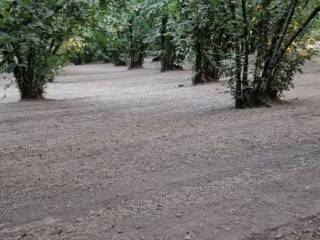 Terreno agricolo in vendita a carbognano località montagna