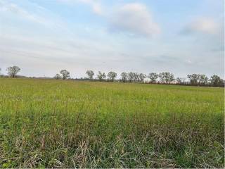 Terreno agricolo in vendita a brugnera 