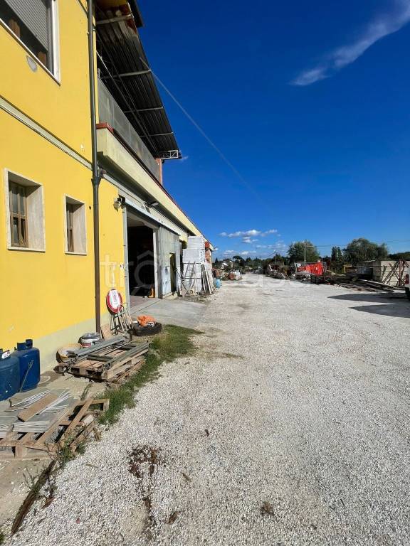 immagine annuncio 11 di 12