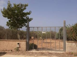 Terreno agricolo in vendita a mazara del vallo via santa maria paradiso, snc