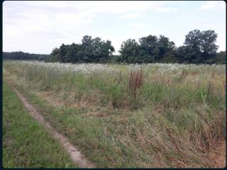 Terreno agricolo in vendita a farra d'isonzo sp10