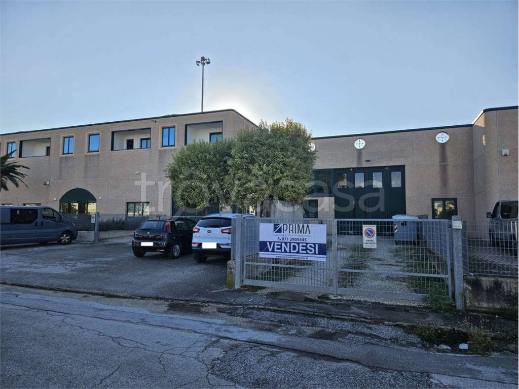 immagine annuncio 1 di 12
