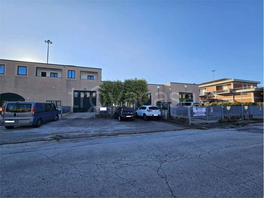 immagine annuncio 3 di 12