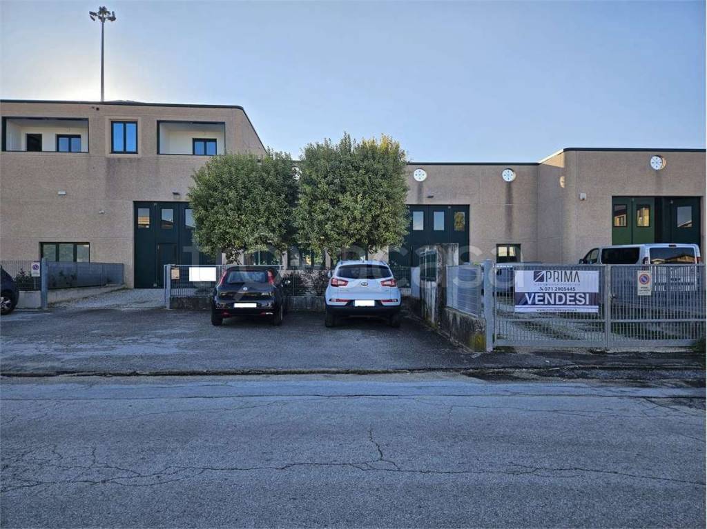 immagine annuncio 10 di 12