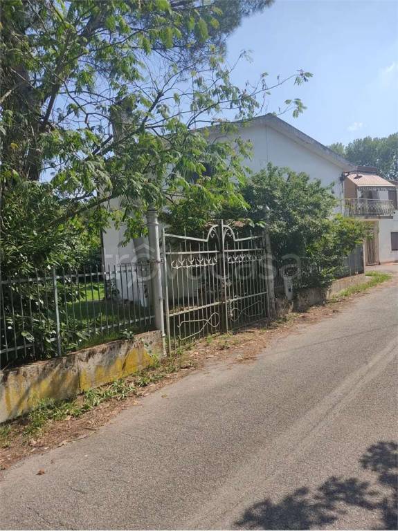 immagine annuncio 5 di 11