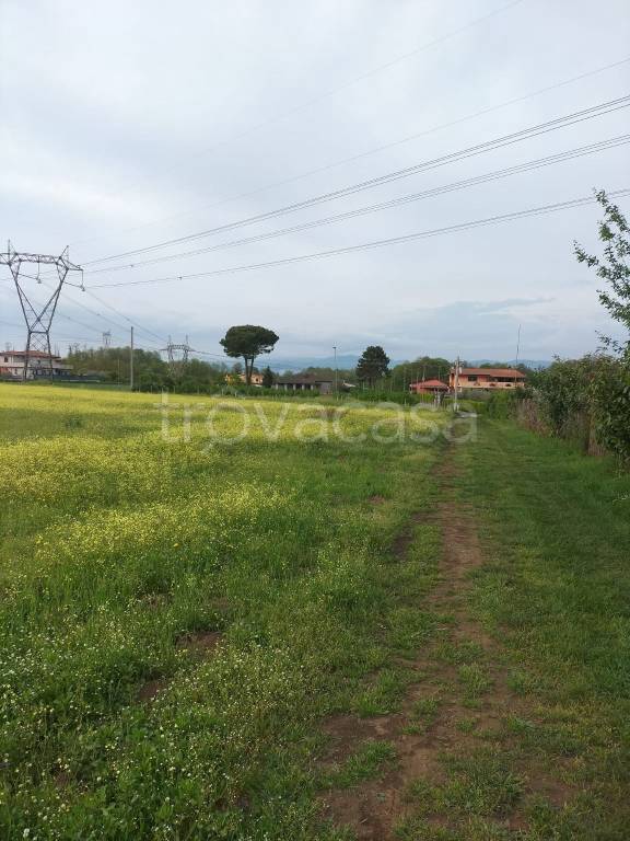 immagine annuncio 4 di 6