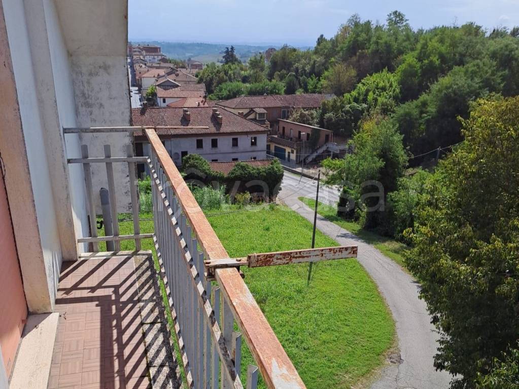 immagine annuncio 11 di 12