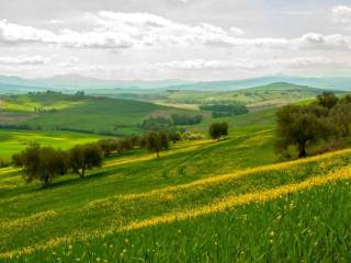 Terreno agricolo in vendita a fermo contrada storno, snc