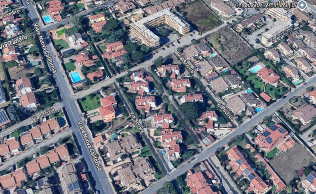 immagine annuncio 4 di 12