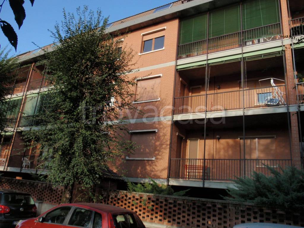 immagine annuncio 1 di 14