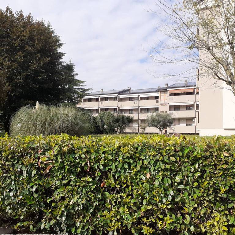 immagine annuncio 7 di 8