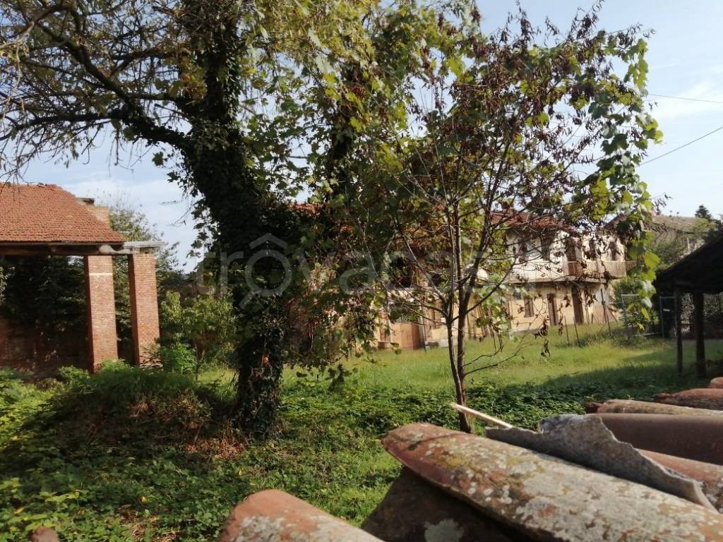immagine annuncio 5 di 11
