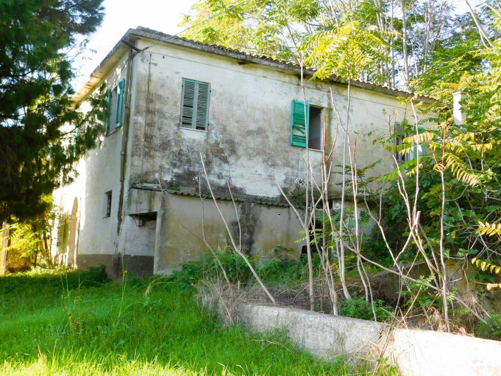 immagine annuncio 5 di 11