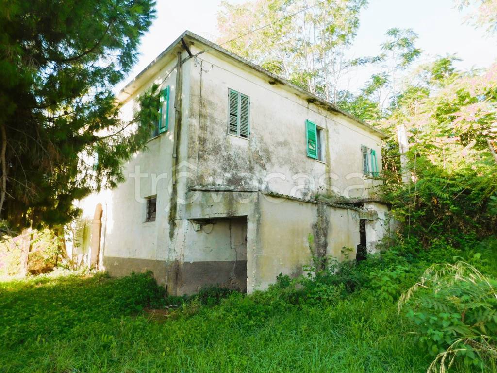 immagine annuncio 4 di 11