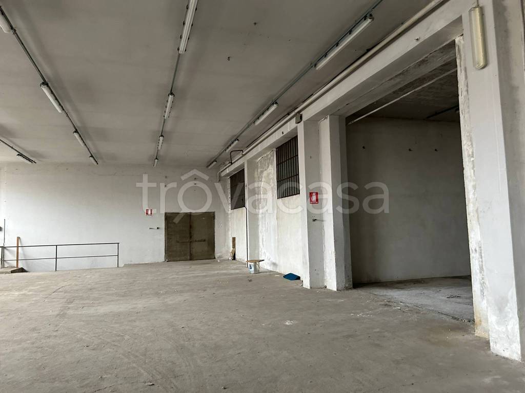 immagine annuncio 4 di 11