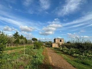 Terreno agricolo in vendita a cisterna di latina via papa giovanni xxiii