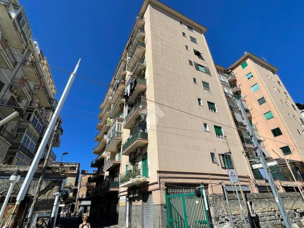 immagine annuncio 2 di 12