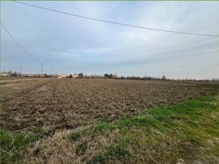 Terreno agricolo in vendita a rovigo via san michele del carso