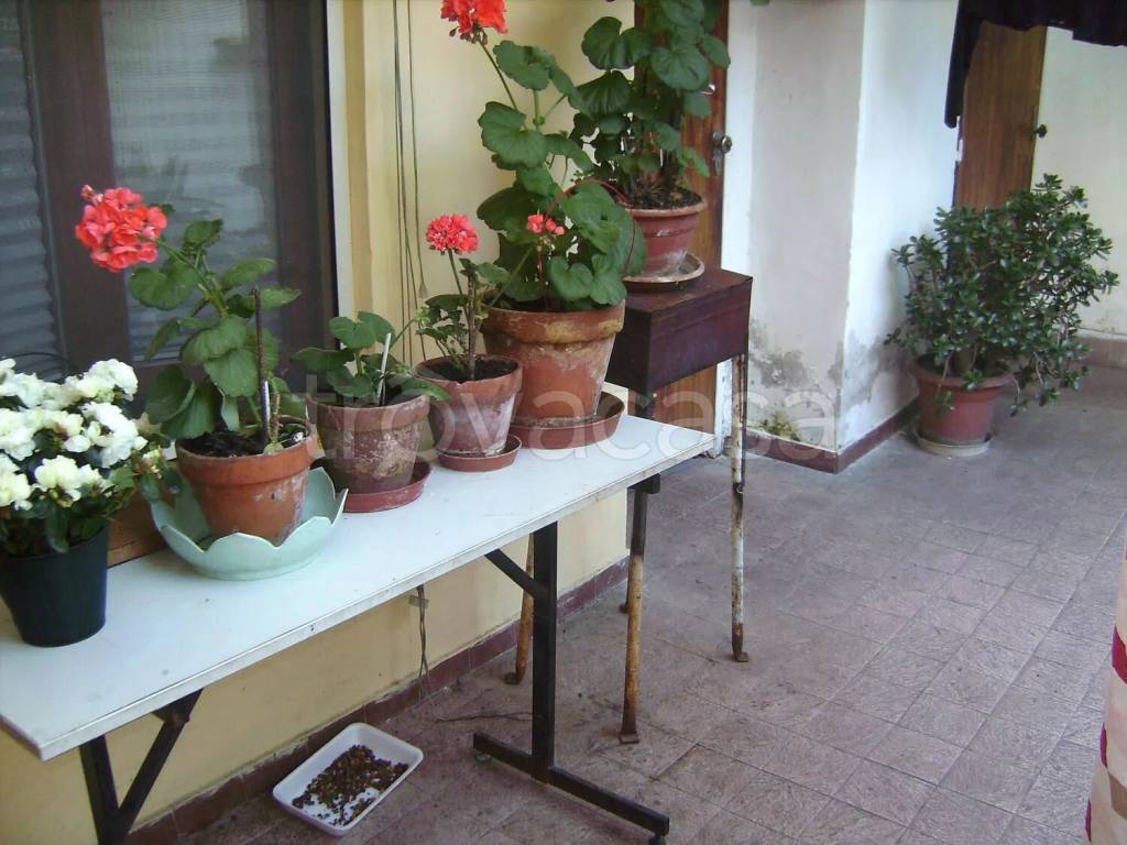 immagine annuncio 4 di 13