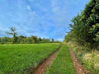 Terreno agricolo in vendita a triuggio cascina variana