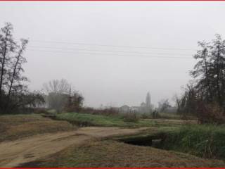 Terreno agricolo in vendita a dorno sp206