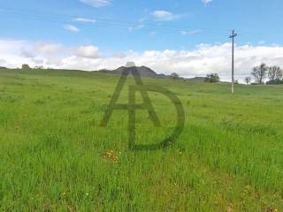 Terreno agricolo in vendita a terenzo bardone s.n.c.