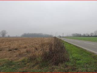 Terreno agricolo in vendita a dorno sp206