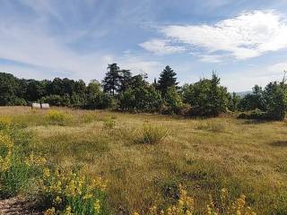 Terreno agricolo in vendita a medesano via fratelli menocchi