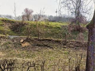 Terreno agricolo in vendita a calestano via giuseppe mazzini s.n.c.