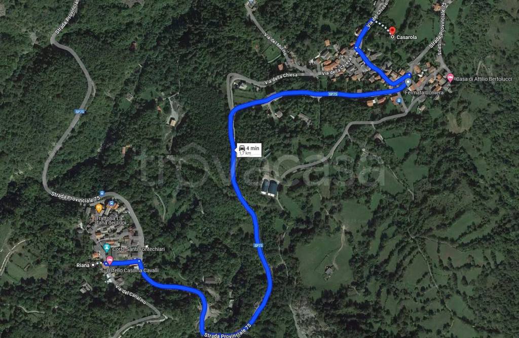 immagine annuncio 2 di 15