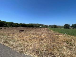 Terreno agricolo in vendita a benevento contrada piano morra