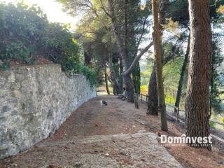 Villa in affitto a capalbio via circonvallazione