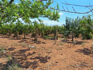 Terreno agricolo in vendita a vittoria via traversa porte rosse