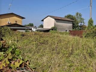 Terreno agricolo all'asta a carpenedolo via cesare abba