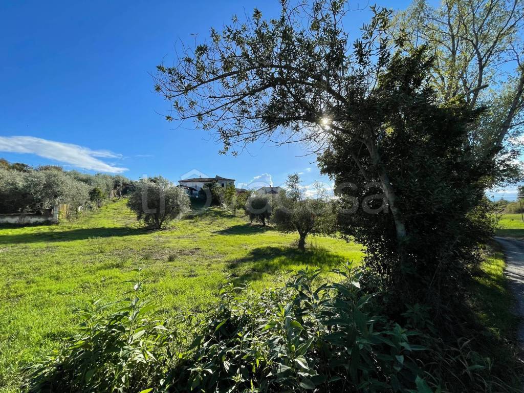 immagine annuncio 2 di 4