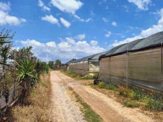 Azienda agricola all'asta a vittoria contrada piano savia