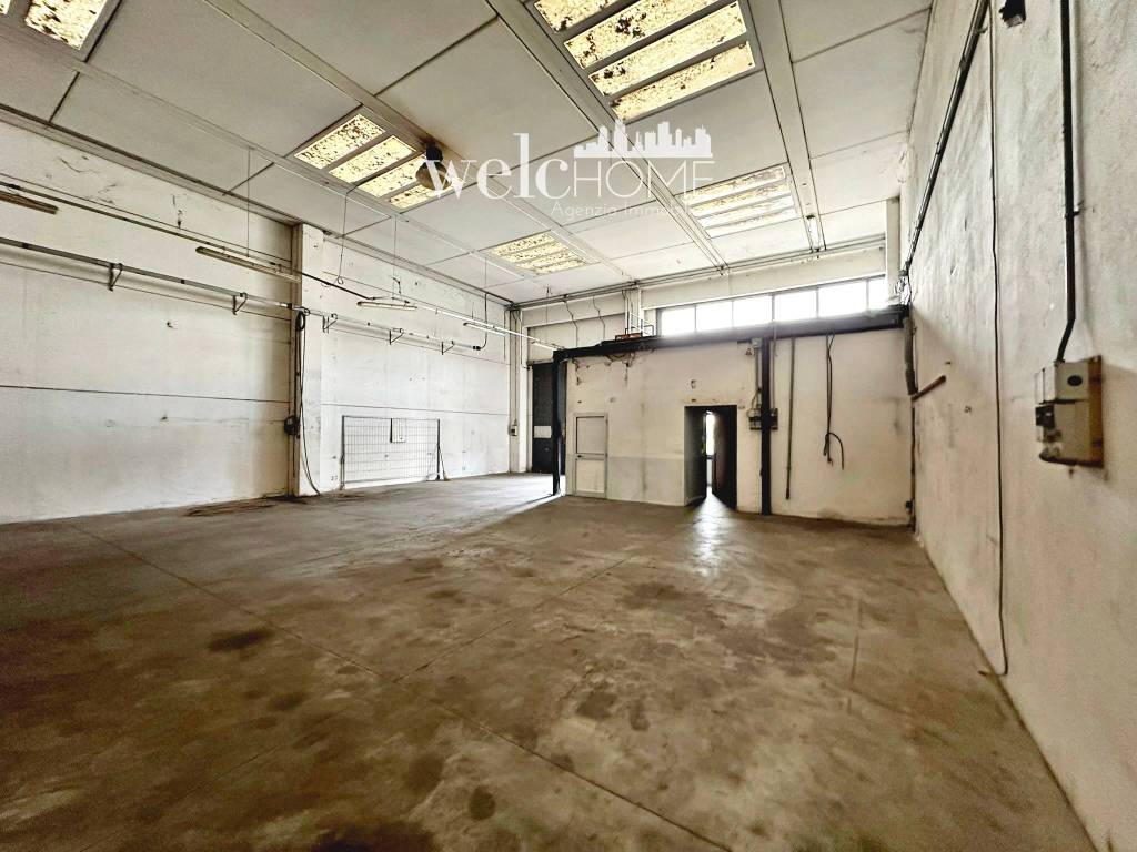 immagine annuncio 11 di 15