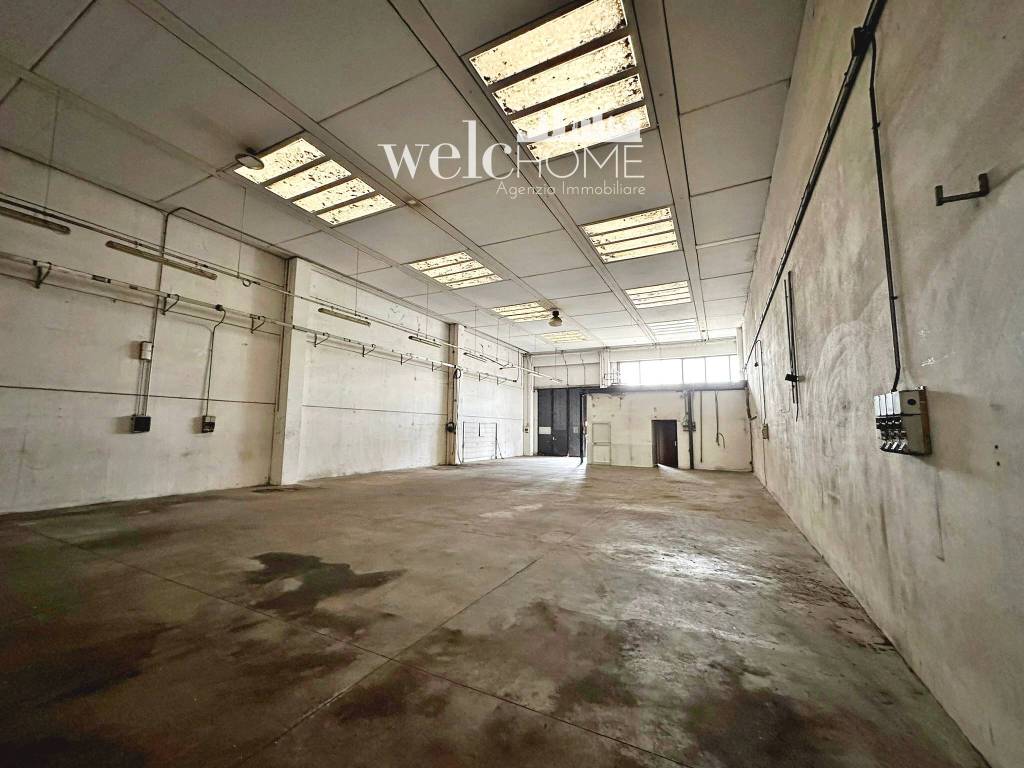 immagine annuncio 9 di 15