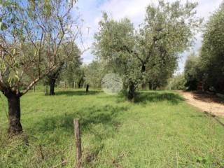 Terreno agricolo in vendita a fara in sabina via pier paolo pasolini, 1