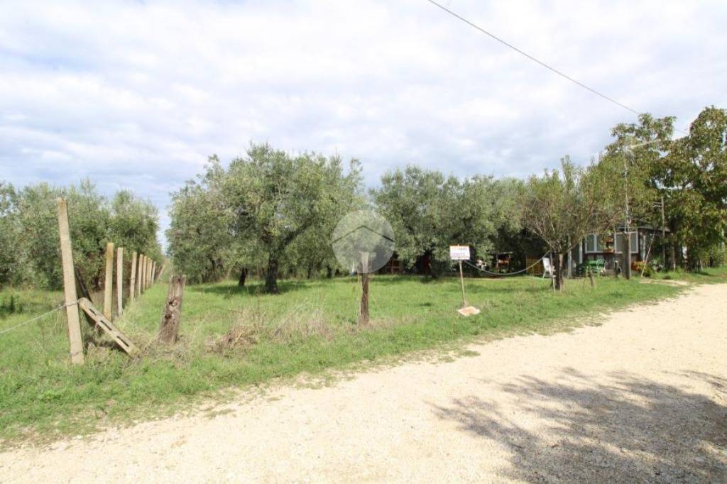 immagine annuncio 2 di 12