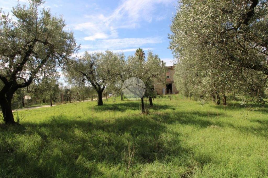 immagine annuncio 5 di 12