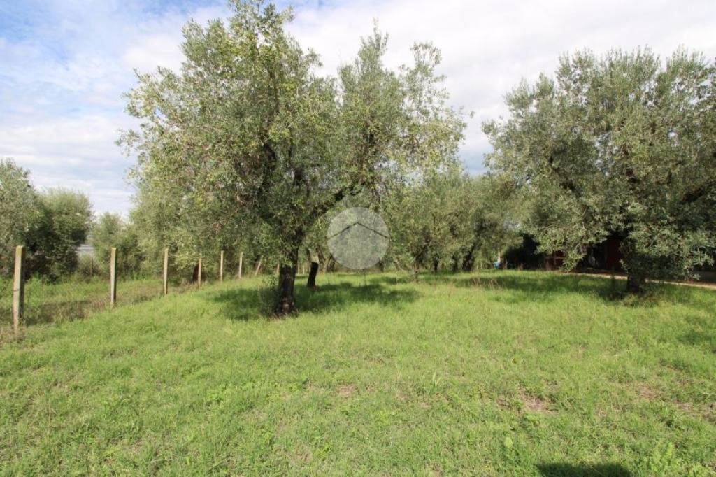 immagine annuncio 8 di 12