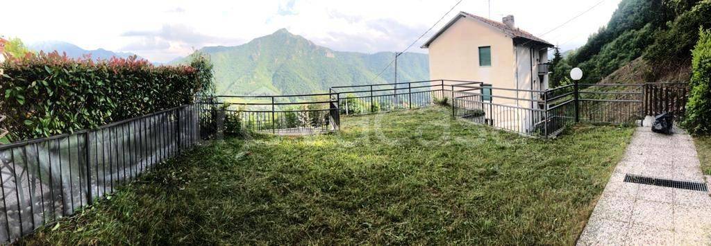 immagine annuncio 11 di 14